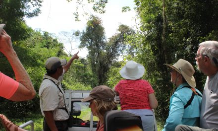 Conservation Inspiration in Belize