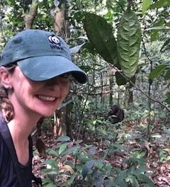 Top 4 Experiences in Uganda