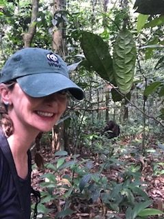 Top 4 Experiences in Uganda