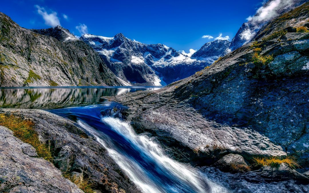 Video: The New Zealand Wilds