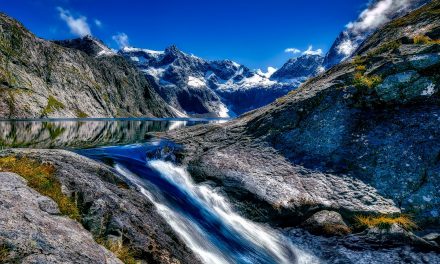 Video: The New Zealand Wilds