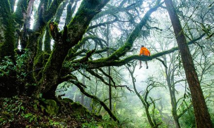 How Do You Define “Nature”? Probably with a Story.