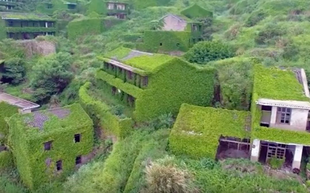 Video: A Chinese Village Goes “Green” When Plants Take Over