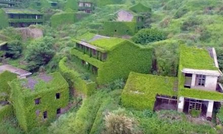 Video: A Chinese Village Goes “Green” When Plants Take Over