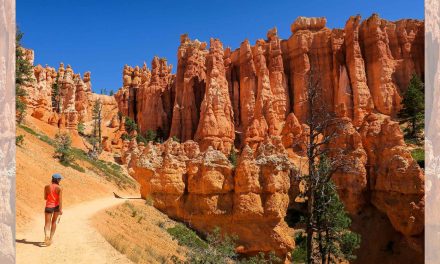 Want a Creativity Boost? Take a Walk in Nature.