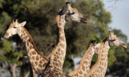 Anticipation Is the Happiest Part of a Travel Journey