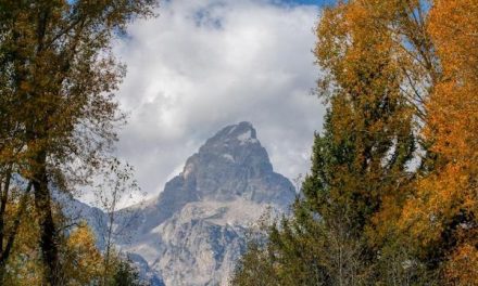 Traveler Story: Sunrise Surprises on a Hidden Yellowstone Photo Safari