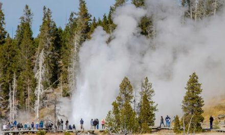 Traveler Story: Geysers and Hot Springs of Yellowstone