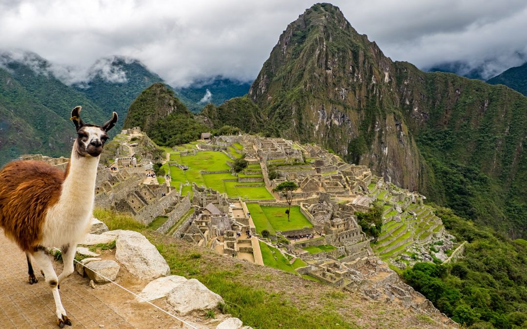 Video: The Mysterious Machu Picchu in High Definition
