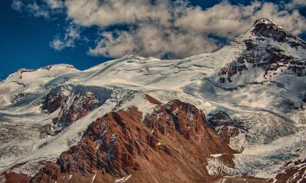 Giving Tuesday: Saving 30 Percent of Earth by 2030