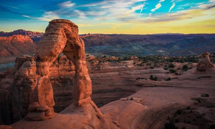 We’re Losing Wilderness. And It’s A Loss to Science.