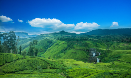 19 Nat Hab Travel Destinations Named Top Trips of 2019