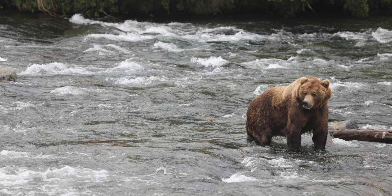 Realizations from a River in Alaska