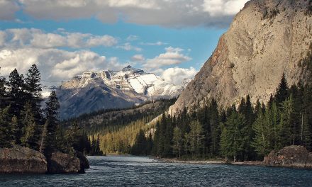 The Year-Round Land of Evergreens: the Taiga