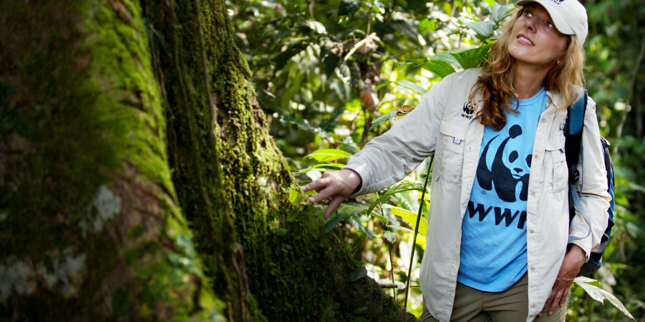 Conservation Comes Full Circle