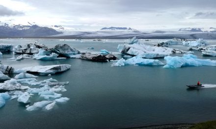 More than Travel Guides, Maps Tell Nature’s Stories