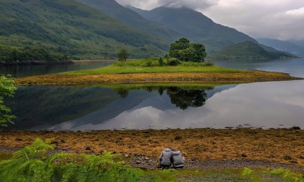 New Year’s Day 2019: What Outdoor Place Misses You?