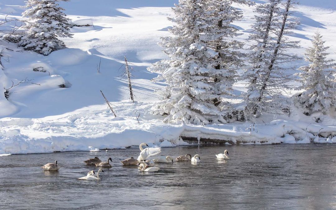 Traveling Small in the Big Outdoors