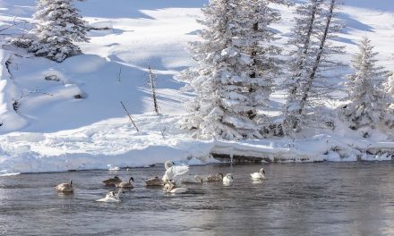 Traveling Small in the Big Outdoors