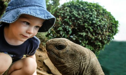 The Stickiness of Learning Outdoors