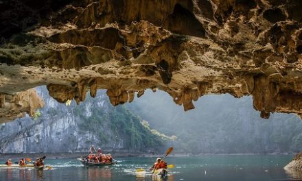 Paddling the Beauty in the Dark | Olaf’s Corner