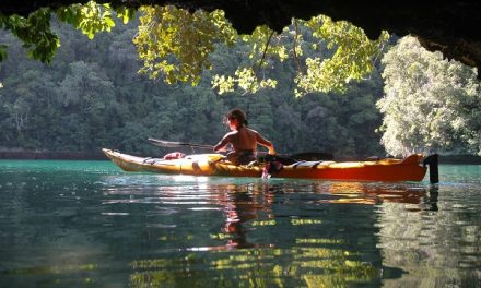 Thank You, Palau | Olaf’s Corner