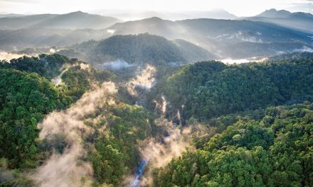 Our Planet Book Review | A Call to Action to Save Our Wild Places