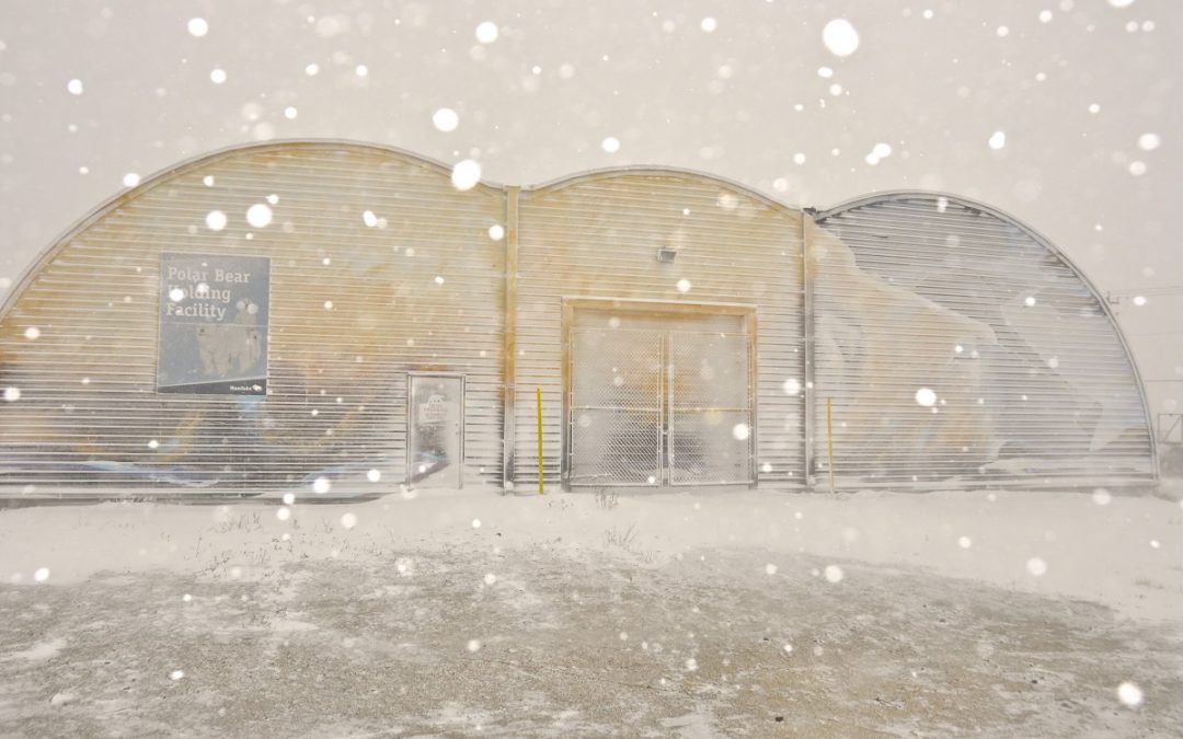 "Know I’m Here" Documentary a Tribute to Churchill