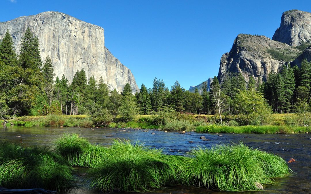 Video: Hike Yosemite’s Half Dome, in High Definition