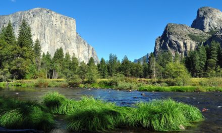 Video: Hike Yosemite’s Half Dome, in High Definition