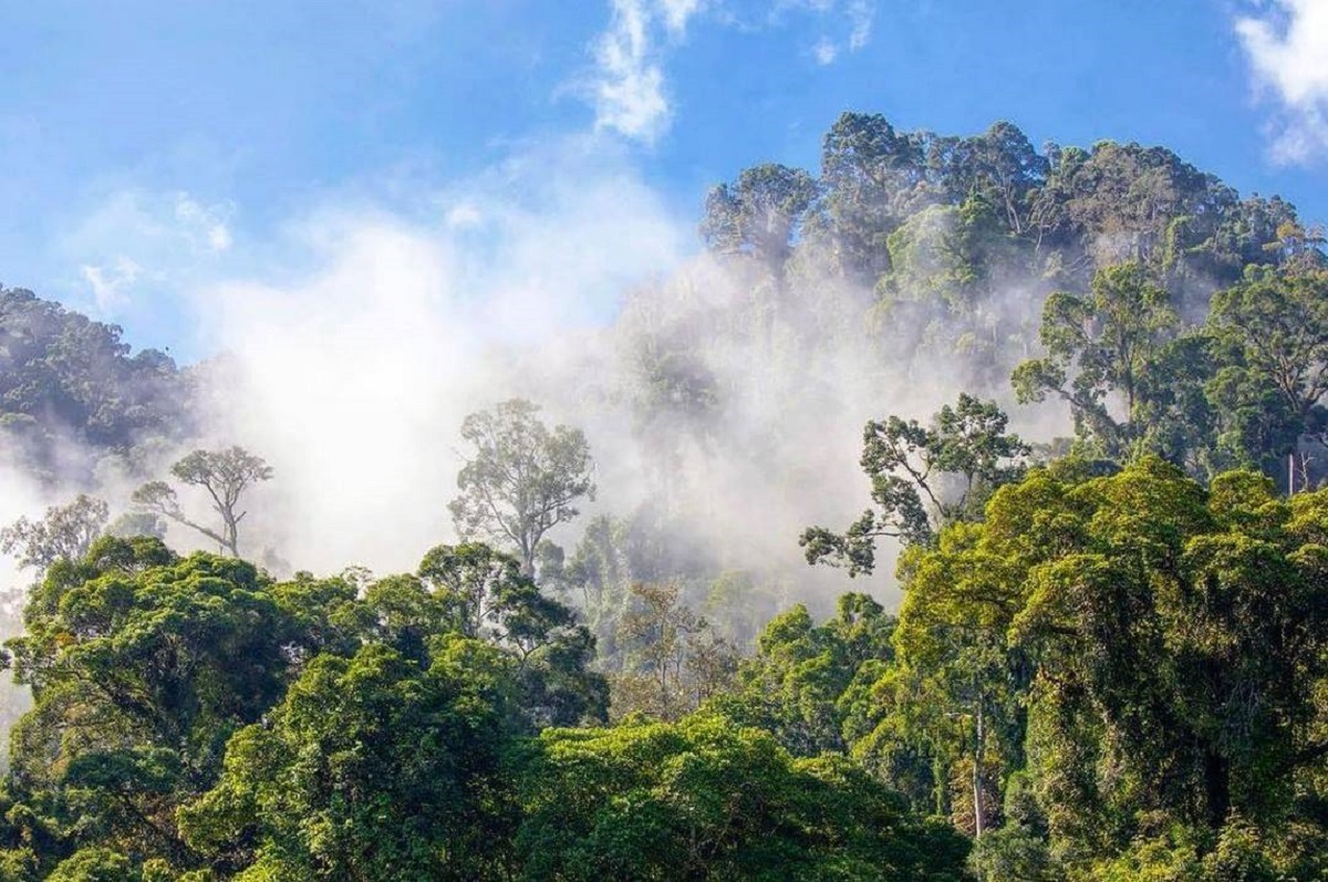 2018 Sustainability