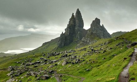 Bringing Wolves Back to Scotland