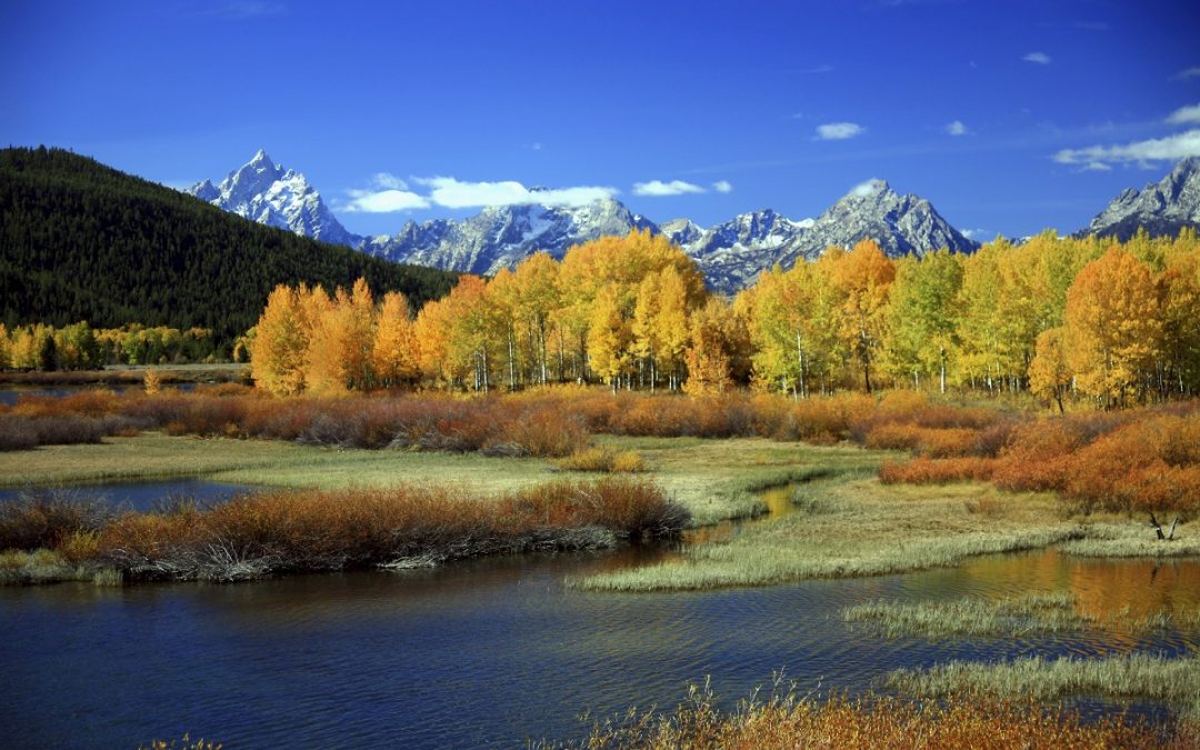 Why Fall Is a Great Time to Visit Yellowstone National Park
