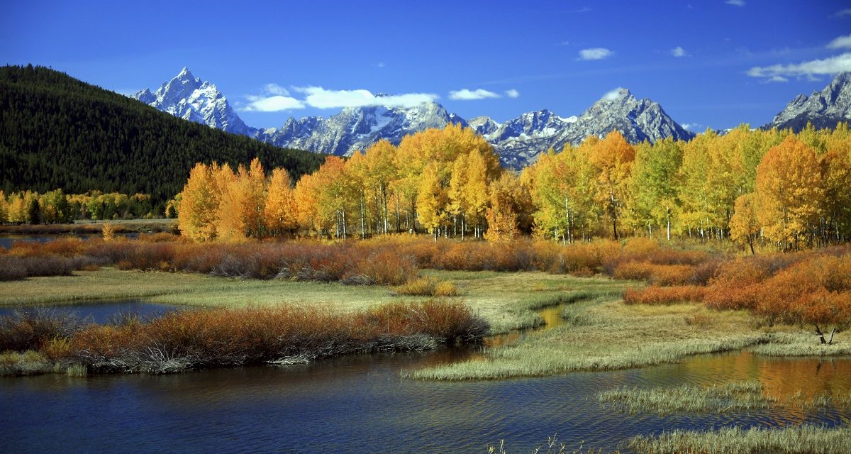 Why Fall Is a Great Time to Visit Yellowstone National Park