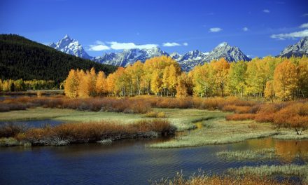 Why Fall Is a Great Time to Visit Yellowstone National Park