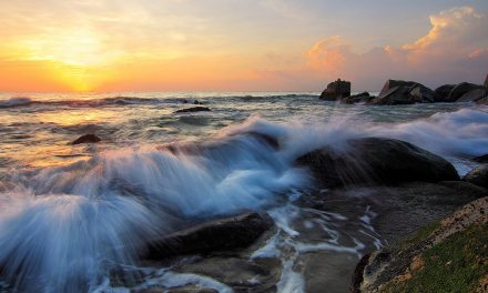 Plastics and PCBs: Ocean Pollutants Causing Big Problems