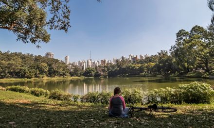 The Summer Shade of Trees Could Save Species