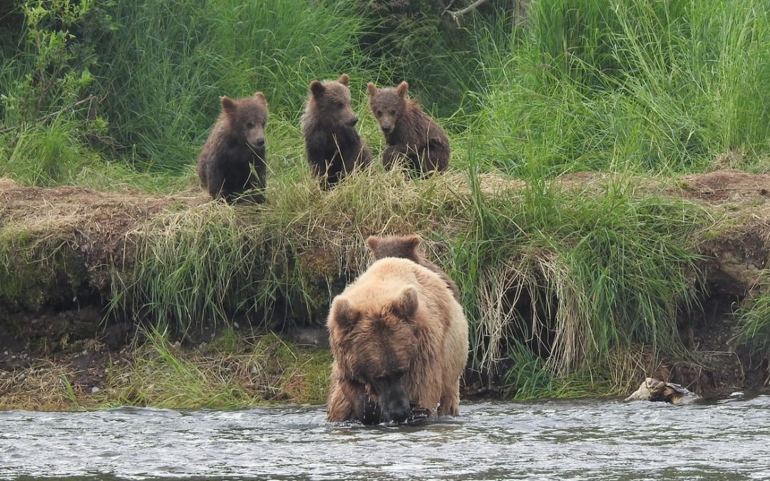 Wildlife Photo of the Week: Fishing Lesson