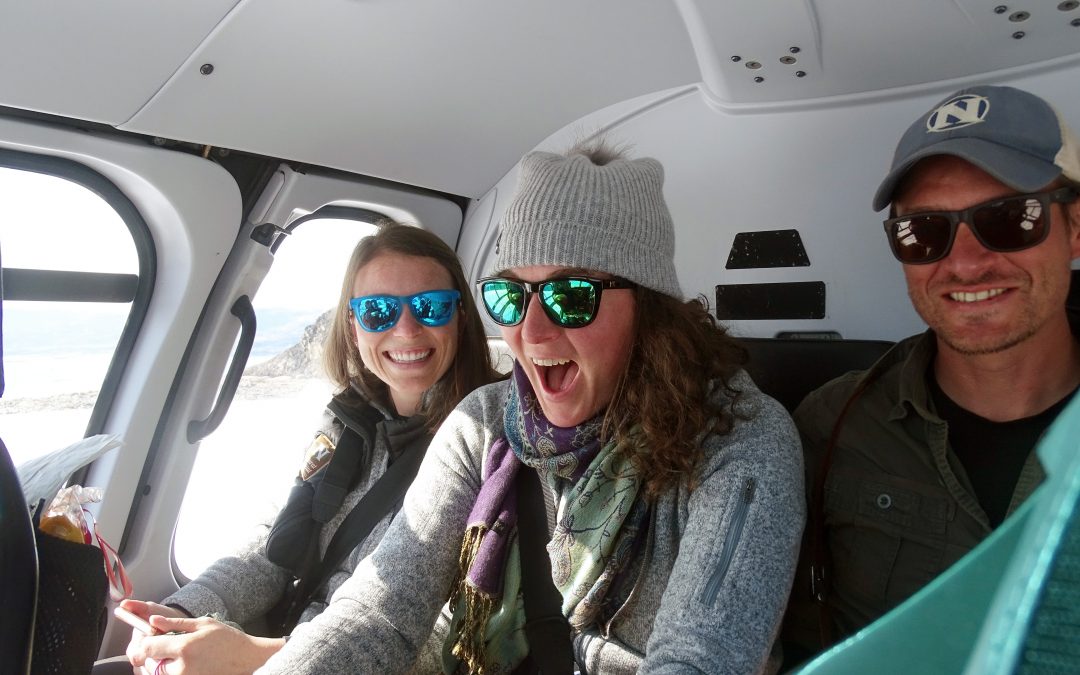 East Greenland: One Wild Ride