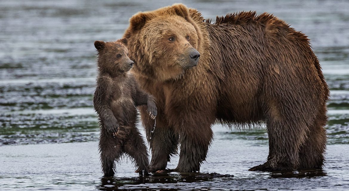 Wildlife Photo of the Week: Mother and Child