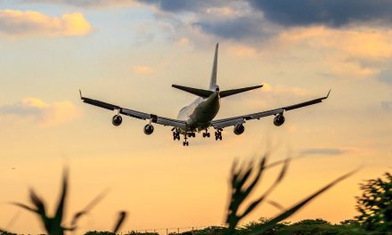 What You Need to Know about Carbon Offsets