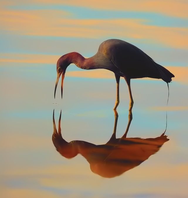 Wildlife Photo of the Week: Hey There!