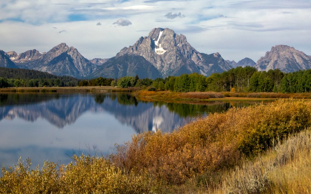 Grand Teton National Park Photo-Essay: from Marmots to Moose and Pikas to Pronghorn