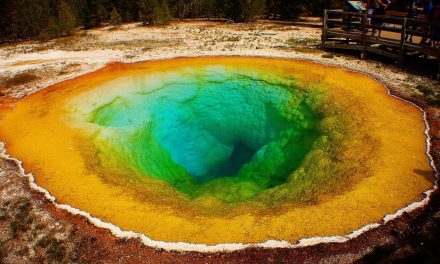 Nat Hab Creates World’s First Zero Waste Travel Adventure in Yellowstone