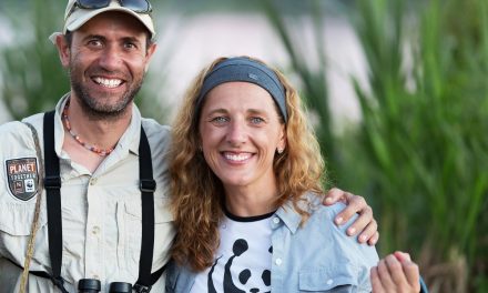 Sustainable Solutions to Preserving the Amazon