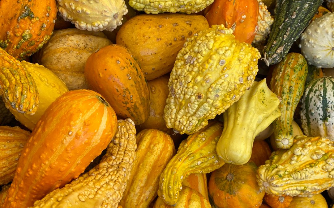 “Home for the Holidays” and Other Travel Conundrums