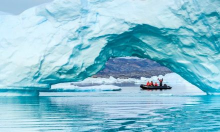 Natural Habitat Adventures to Offset Travelers’ Lives for an Entire Year