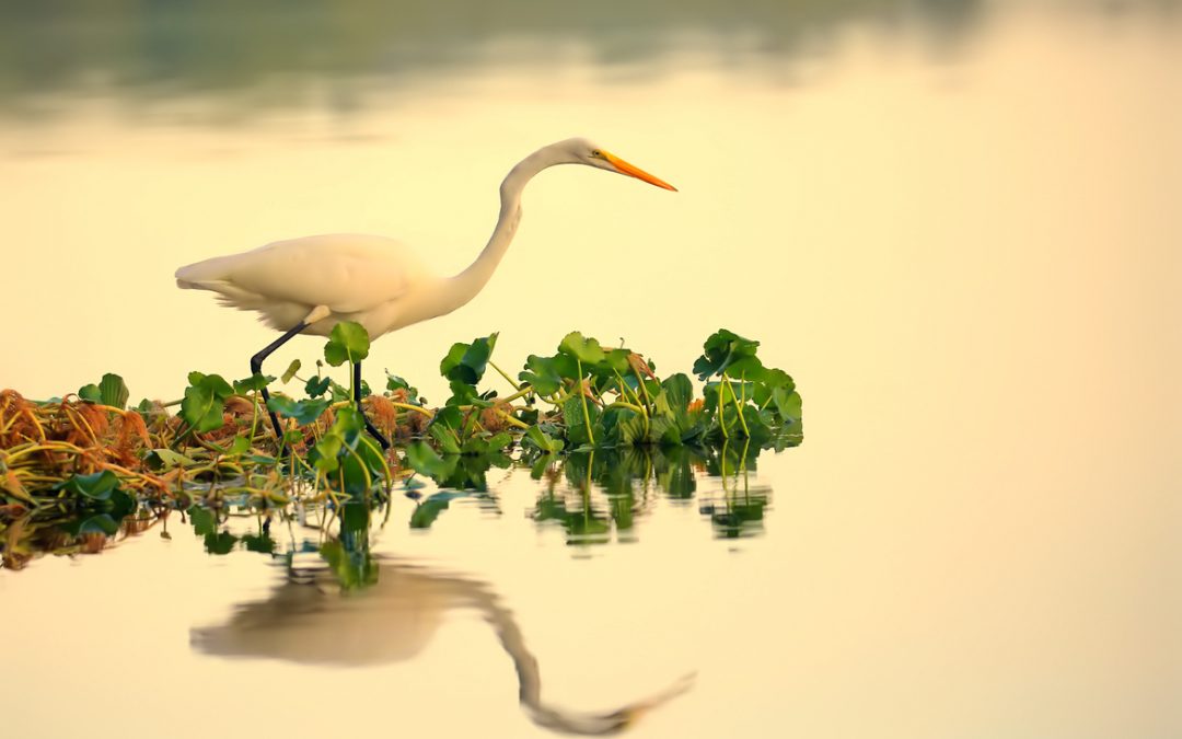 Wildlife Photo of the Week: Inspection