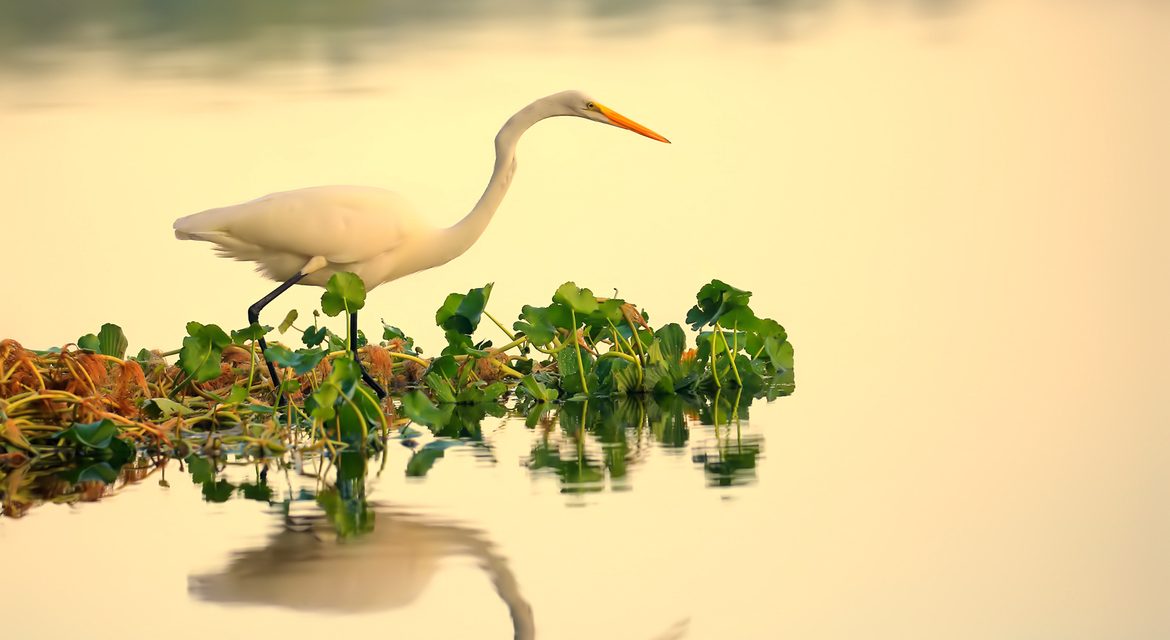 Wildlife Photo of the Week: Inspection