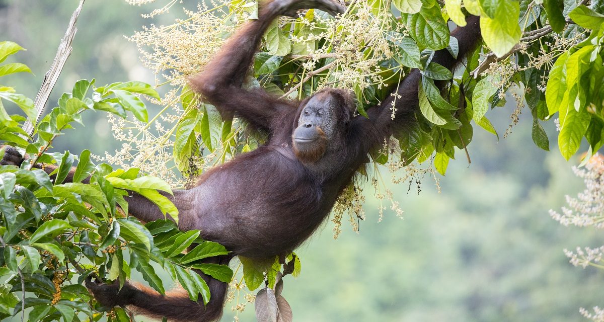 My Biggest Concern for the Future of Life on Earth